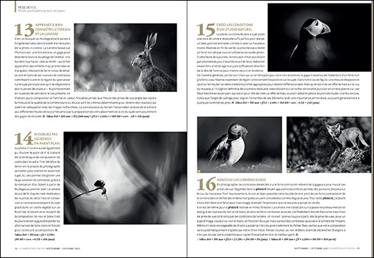 Compétence Photo Numéro 96 : Photo de nuit • Photoshop 100% Astuces • Adobe Firefly • Portrait avec une source • Photo animalière en noir & blanc