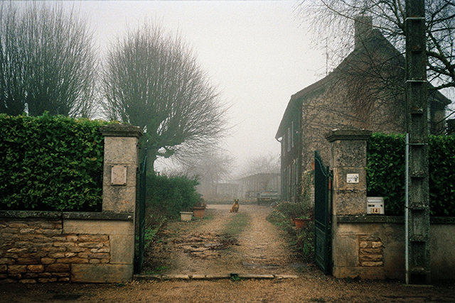 Sophie Cuffia, Premier Prix Photographie des Canson Art School Awards 2015 et Coup de Coeur Compétence Photo Sophie Cuffia, Premier Prix Photographie des Canson Art School Awards 2015 et Coup de Coeur Compétence Photo