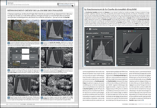 Téléchargez les photos du dossier "Tout savoir sur les Niveaux et la Courbe de tonalités" - Compétence Photo n°97