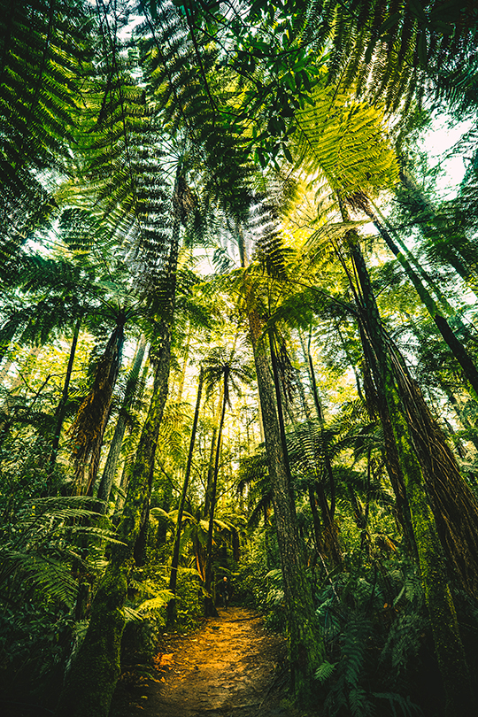 © Maxence Raynaud © Maxence Raynaud