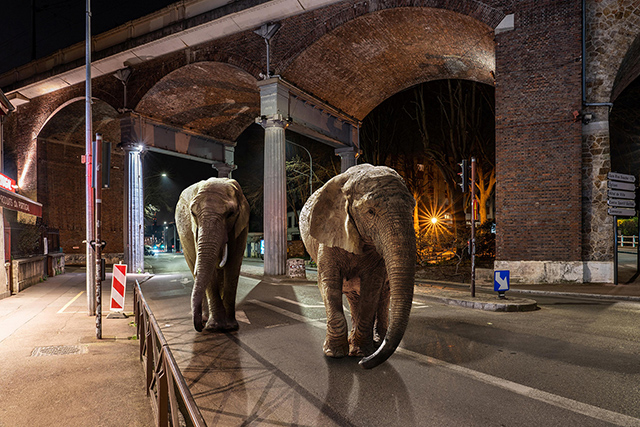 © Jérôme Cherrier © Jérôme Cherrier