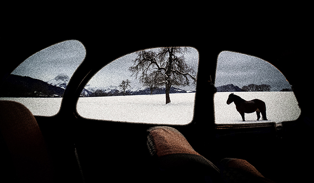 Hervé Schmelzle Hervé Schmelzle