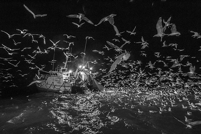 Votez pour "Des hommes à la mer" de Frédéric Briois aux Zooms 2015 du Salon de la Photo