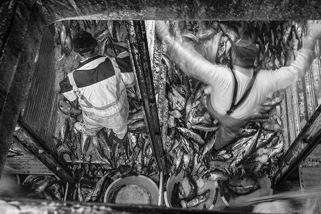 Votez pour "Des hommes à la mer" de Frédéric Briois aux Zooms 2015 du Salon de la Photo