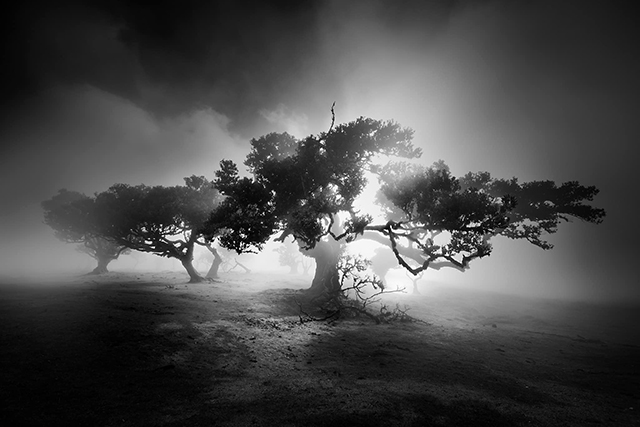 © Antonio Gaudencio © Antonio Gaudencio