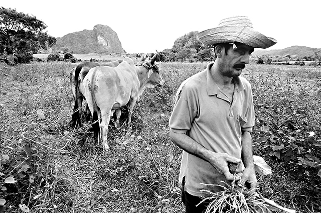 © Didier Masset © Didier Masset
