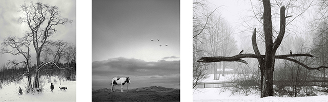 © Pentti Sammallahti © Pentti Sammallahti