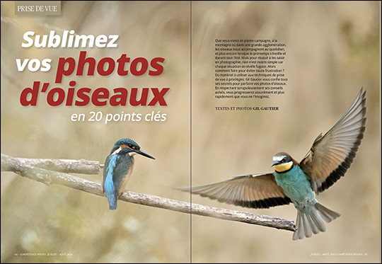 Compétence Photo Numéro 101 : La lumière naturelle • Le portrait en extérieur • Retouche Photo de nuit • Photo d'oiseaux Compétence Photo Numéro 101 : La lumière naturelle • Le portrait en extérieur • Retouche Photo de nuit • Photo d'oiseaux