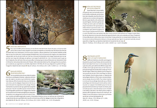 Compétence Photo Numéro 101 : La lumière naturelle • Le portrait en extérieur • Retouche Photo de nuit • Photo d'oiseaux Compétence Photo Numéro 101 : La lumière naturelle • Le portrait en extérieur • Retouche Photo de nuit • Photo d'oiseaux