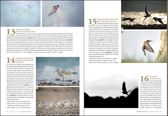 Compétence Photo Numéro 101 : La lumière naturelle • Le portrait en extérieur • Retouche Photo de nuit • Photo d'oiseaux Compétence Photo Numéro 101 : La lumière naturelle • Le portrait en extérieur • Retouche Photo de nuit • Photo d'oiseaux