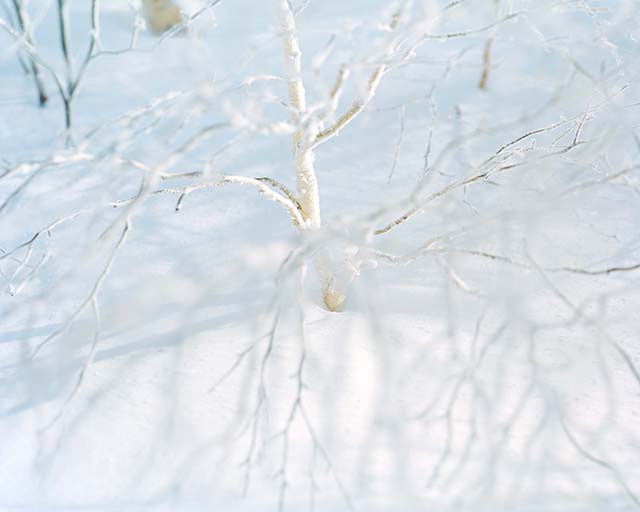 © Risaku Suzuki / Courtesy of Christophe Guye Galerie © Risaku Suzuki / Courtesy of Christophe Guye Galerie
