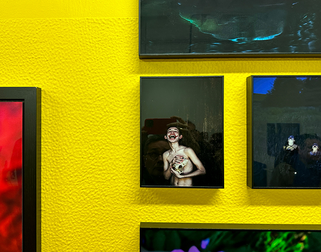 Patienter deux siècles pour un véritable réseau pro des festivals et foires photo, c'est un sacré LUX. Patienter deux siècles pour un véritable réseau pro des festivals et foires photo, c'est un sacré LUX.