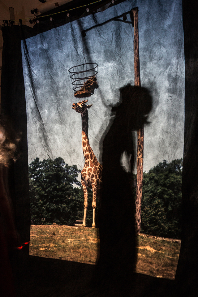 Les finalistes du Grand Prix photographique catégorie Féminin (shortlist) Les finalistes du Grand Prix photographique catégorie Féminin (shortlist)