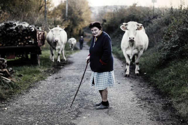 Les finalistes du Grand Prix photographique catégorie Masculin (shortlist)