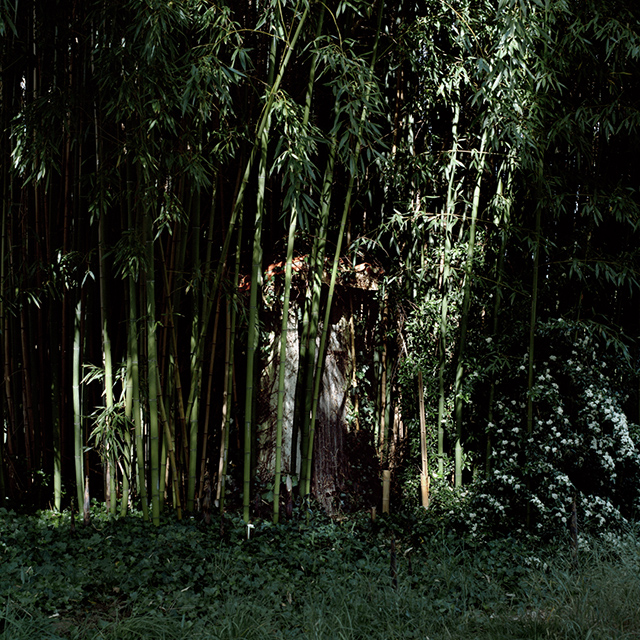 Alexandra Serrano, lauréate du Grand Prix photographique - catégorie Féminin