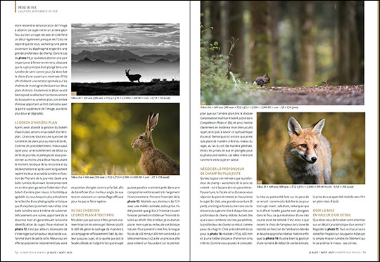 Compétence Photo Numéro 107 : Pleins feux sur les couleurs • Le bord de mer en France • Portrait et boîte à lumière • Photo animalière Compétence Photo Numéro 107 : Pleins feux sur les couleurs • Le bord de mer en France • Portrait et boîte à lumière • Photo animalière