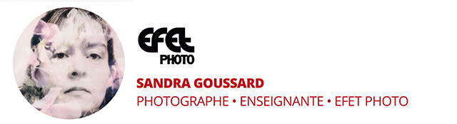 Les 16 experts des lectures de portfolio Compétence Photo / Salon de la Photo 2025 Les 16 experts des lectures de portfolio Compétence Photo / Salon de la Photo 2025