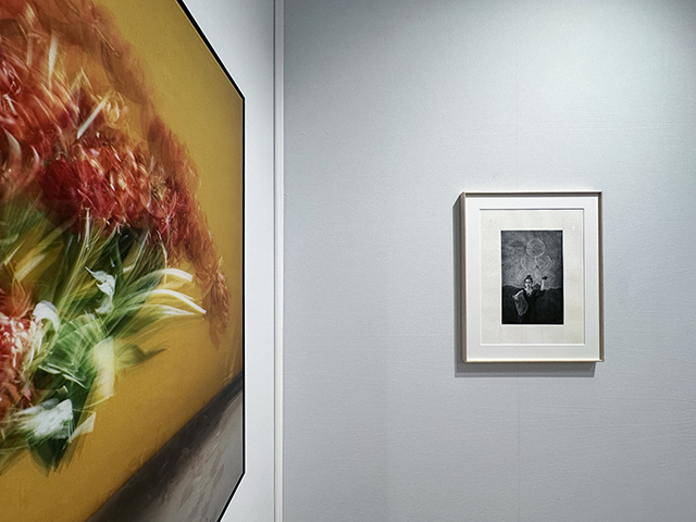 Michael Wesely (gauche) • Sama Alshaibi (droite) • Galerie Esther Woerdehoff