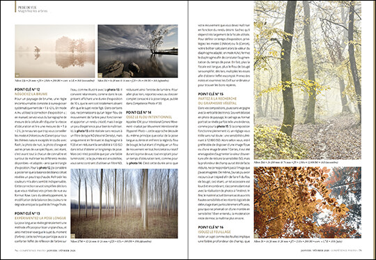 Compétence Photo Numéro 110 : La photo de rue • L'eau et le portrait • Affinity by Canva • Les arbres et la nature • Lightroom et les masques