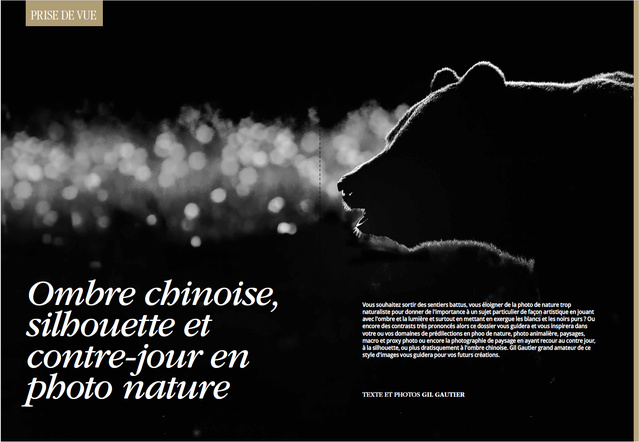 Compétence Photo Numéro 111 : La profondeur de champ • Le contre-jour • Les meilleurs outils IA de Luminar • Choisir son logiciel de catalogage. Compétence Photo Numéro 111 : La profondeur de champ • Le contre-jour • Les meilleurs outils IA de Luminar • Choisir son logiciel de catalogage.