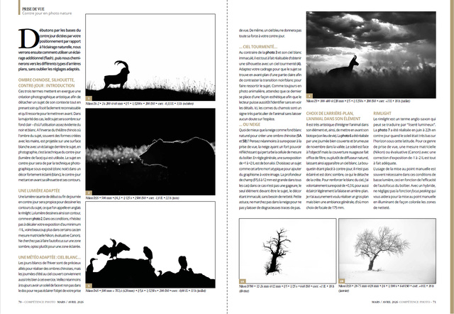 Compétence Photo Numéro 111 : La profondeur de champ • Le contre-jour • Les meilleurs outils IA de Luminar • Choisir son logiciel de catalogage. Compétence Photo Numéro 111 : La profondeur de champ • Le contre-jour • Les meilleurs outils IA de Luminar • Choisir son logiciel de catalogage.