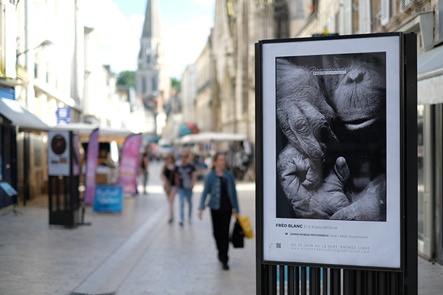 Les rues de Vendôme © Gérald Vidamment (Fujifilm X-Pro 2) Les rues de Vendôme © Gérald Vidamment (Fujifilm X-Pro 2)