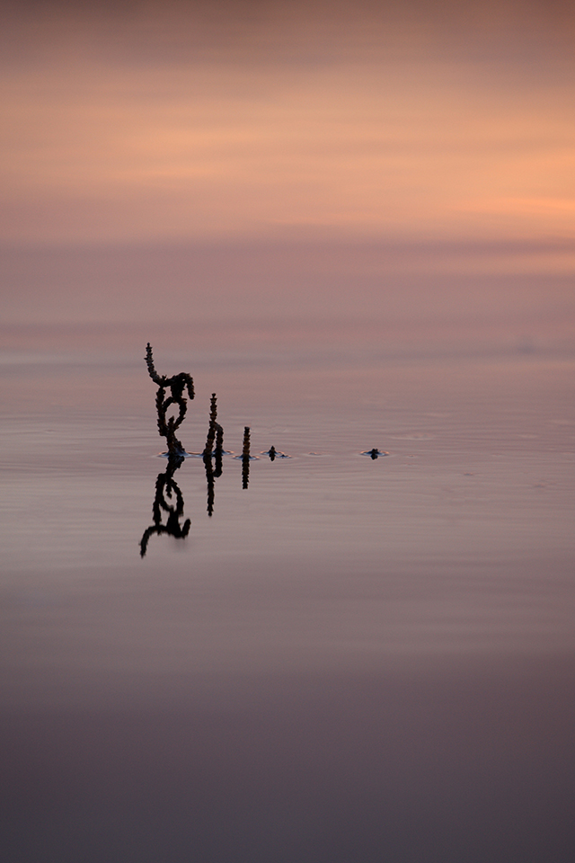 © Nadine Cabarrot