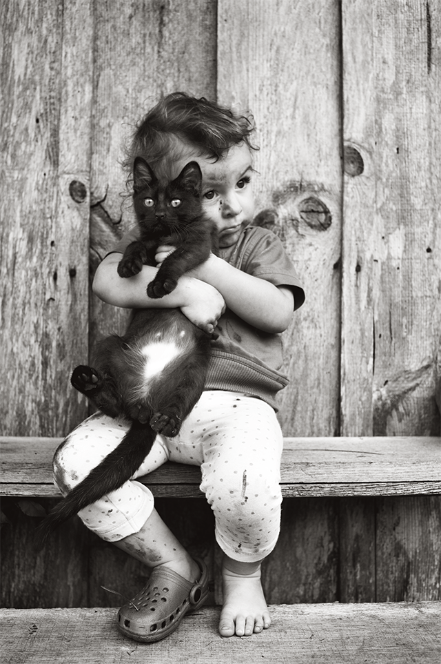 © Alain Laboile - Tous droits réservés © Alain Laboile - Tous droits réservés