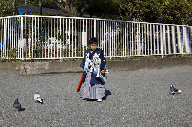 Colors of Japan • Yann Veslin (série)