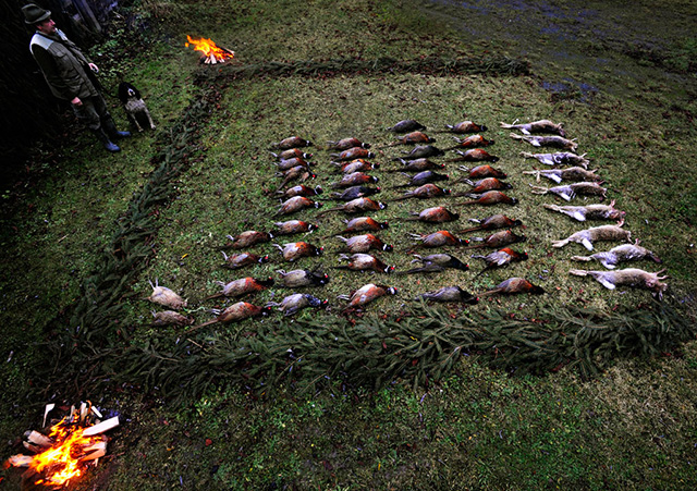 © Roman Vondrous - Tous droits réservés © Roman Vondrous - Tous droits réservés