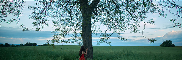 Image extraite du film "Rêvalités" - Tous droits réservés Image extraite du film "Rêvalités" - Tous droits réservés