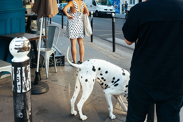 © Fabien Écochard © Fabien Écochard