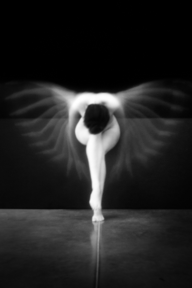 Les Sténocorpés de Julie Poncet à l'honneur aux Echappées Belles Acte 5 Les Sténocorpés de Julie Poncet à l'honneur aux Echappées Belles Acte 5