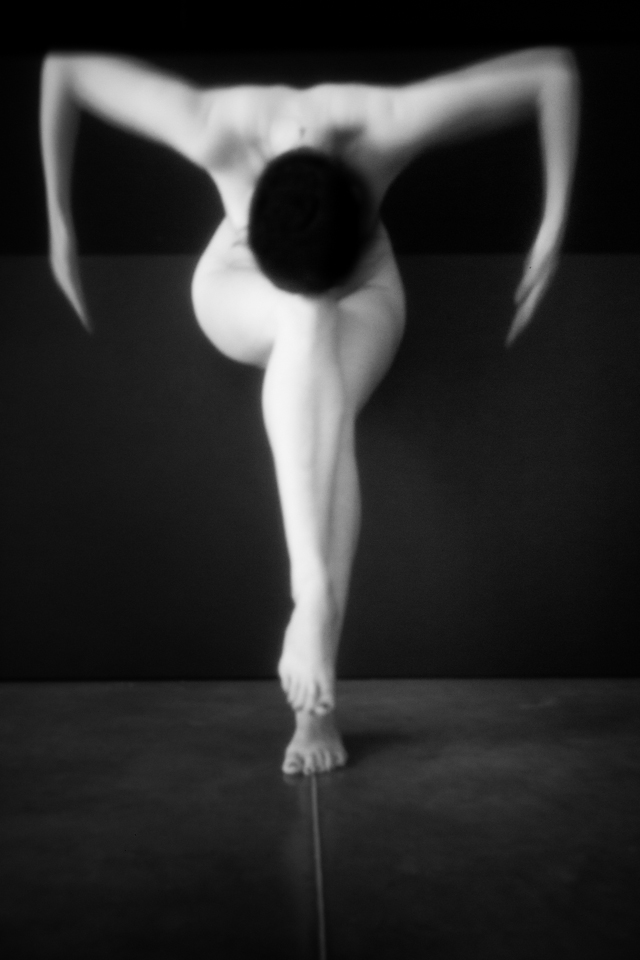 Les Sténocorpés de Julie Poncet à l'honneur aux Echappées Belles Acte 5 Les Sténocorpés de Julie Poncet à l'honneur aux Echappées Belles Acte 5