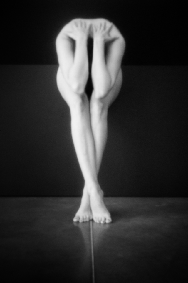 Les Sténocorpés de Julie Poncet à l'honneur aux Echappées Belles Acte 5 Les Sténocorpés de Julie Poncet à l'honneur aux Echappées Belles Acte 5