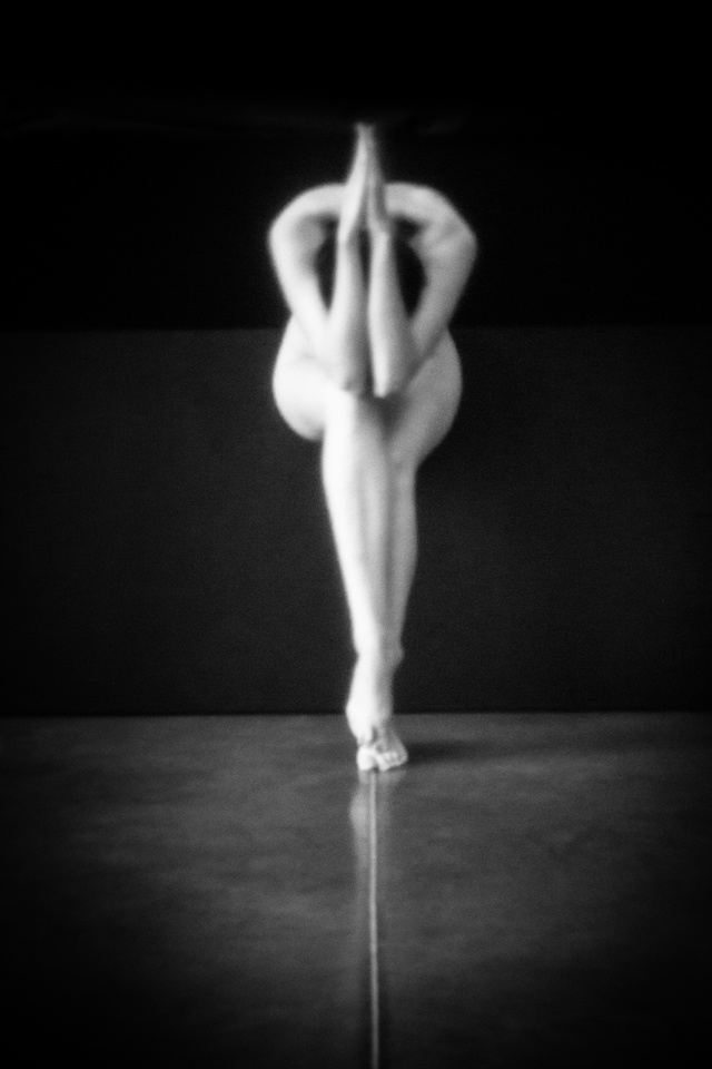 Les Sténocorpés de Julie Poncet à l'honneur aux Echappées Belles Acte 5 Les Sténocorpés de Julie Poncet à l'honneur aux Echappées Belles Acte 5