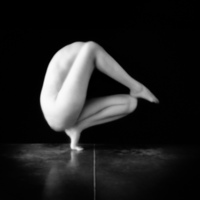 Les Sténocorpés de Julie Poncet à l'honneur aux Echappées Belles Acte 5 Les Sténocorpés de Julie Poncet à l'honneur aux Echappées Belles Acte 5