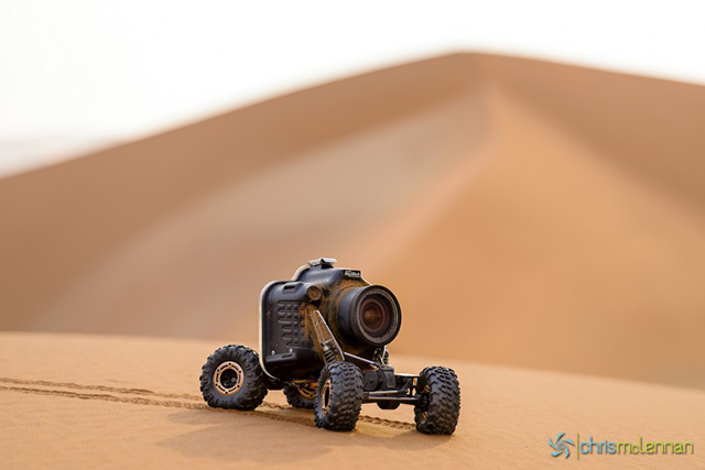 Photographier au plus près des lions, avec Chris McLennan Photographier au plus près des lions, avec Chris McLennan