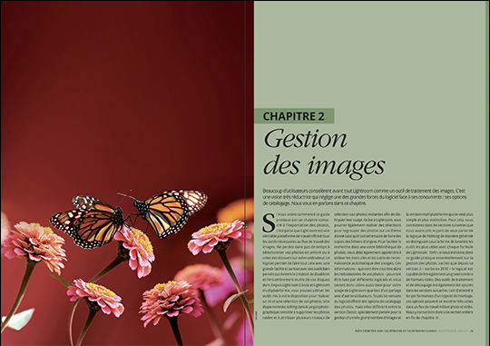 Bien débuter avec Lightroom & Lightroom Classic • Les guides pratiques Compétence Photo Bien débuter avec Lightroom & Lightroom Classic • Les guides pratiques Compétence Photo