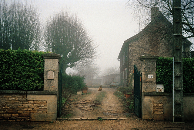 Sophie Cuffia, Premier Prix Photographie des Canson Art School Awards 2015 et Coup de Coeur Compétence Photo Sophie Cuffia, Premier Prix Photographie des Canson Art School Awards 2015 et Coup de Coeur Compétence Photo