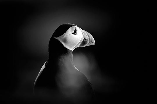 © Gil Gautier © Gil Gautier