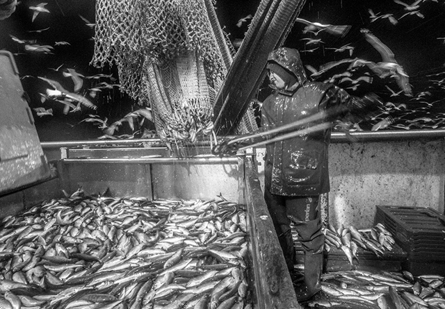 Votez pour "Des hommes à la mer" de Frédéric Briois aux Zooms 2015 du Salon de la Photo