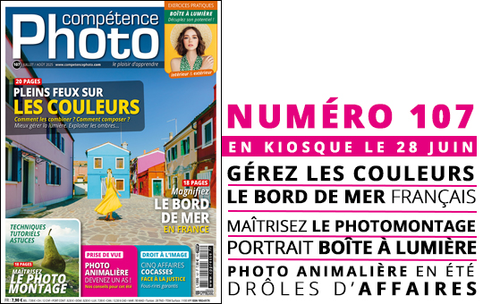 Compétence Photo Numéro 107 : Pleins feux sur les couleurs • Le bord de mer en France • Portrait et boîte à lumière • Photo animalière