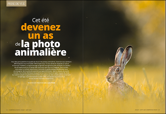 Compétence Photo Numéro 107 : Pleins feux sur les couleurs • Le bord de mer en France • Portrait et boîte à lumière • Photo animalière