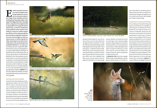 Compétence Photo Numéro 107 : Pleins feux sur les couleurs • Le bord de mer en France • Portrait et boîte à lumière • Photo animalière
