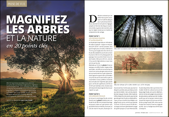 Compétence Photo Numéro 110 : La photo de rue • L'eau et le portrait • Affinity by Canva • Les arbres et la nature • Lightroom et les masques