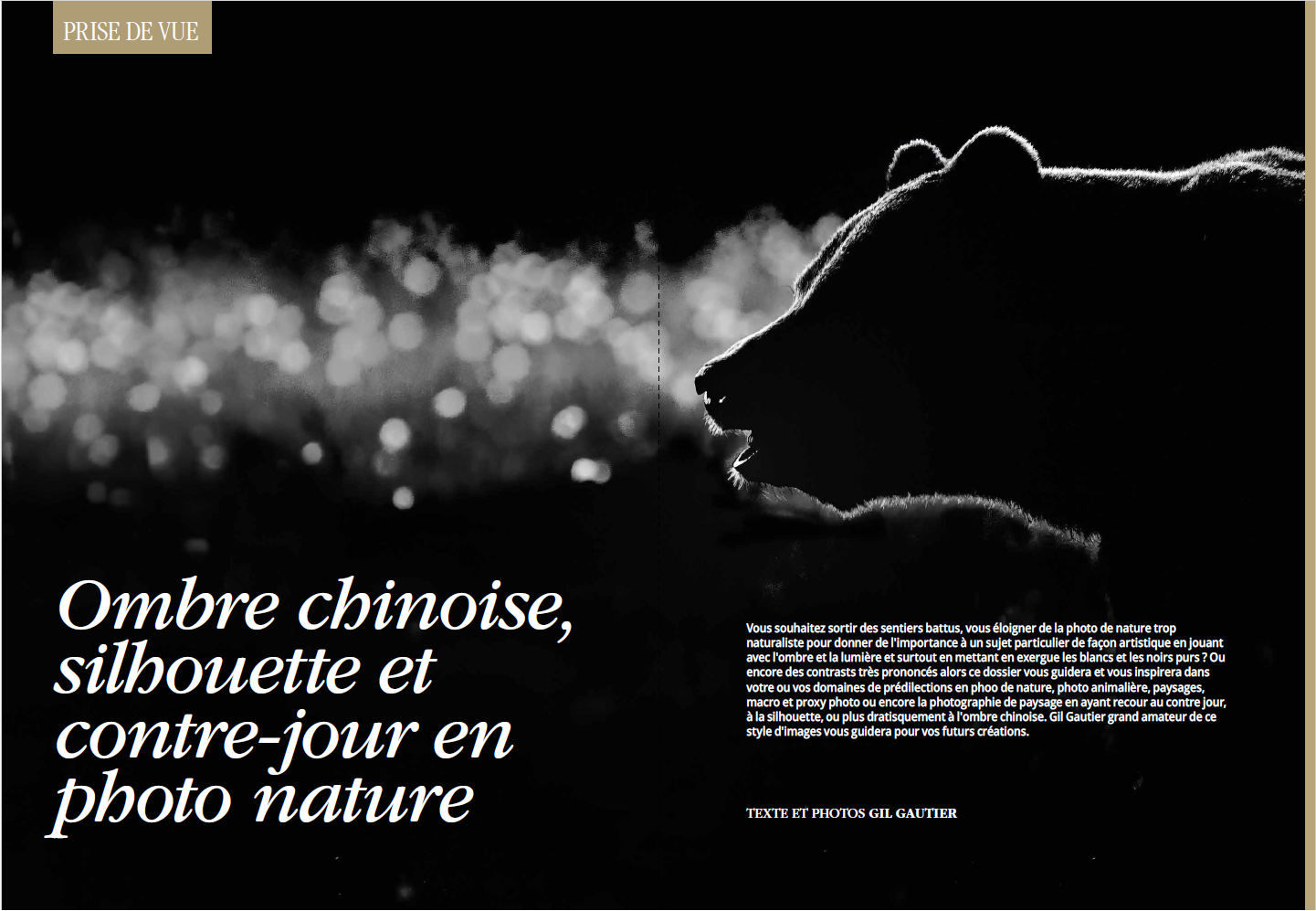 Compétence Photo Numéro 111 : La profondeur de champ • Le contre-jour • Les meilleurs outils IA de Luminar • Choisir son logiciel de catalogage.