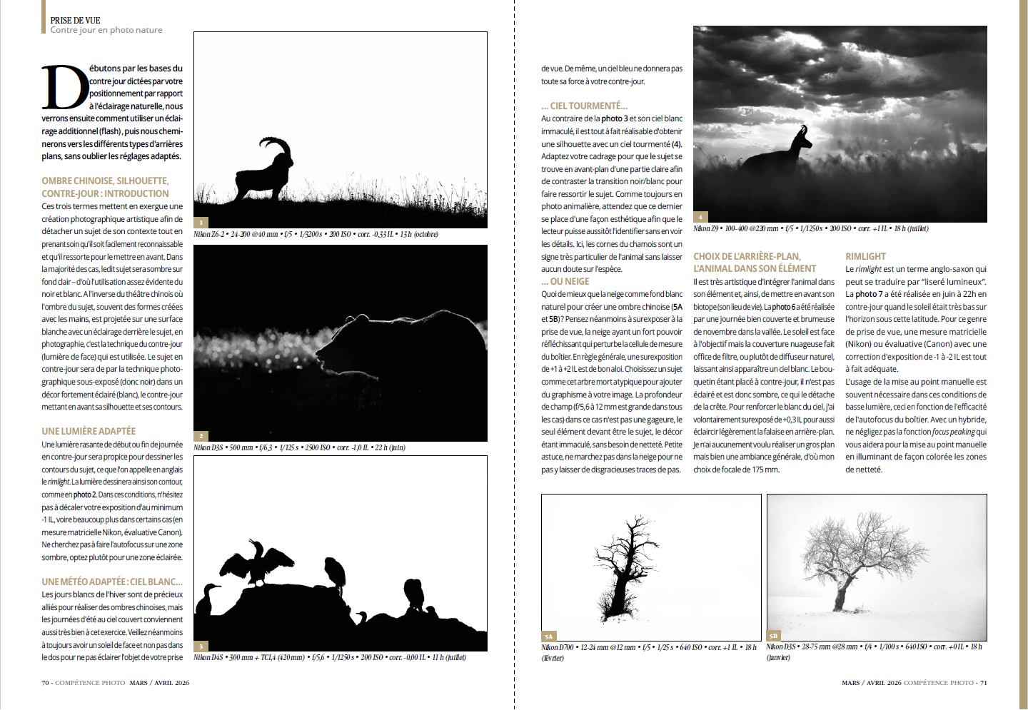 Compétence Photo Numéro 111 : La profondeur de champ • Le contre-jour • Les meilleurs outils IA de Luminar • Choisir son logiciel de catalogage.