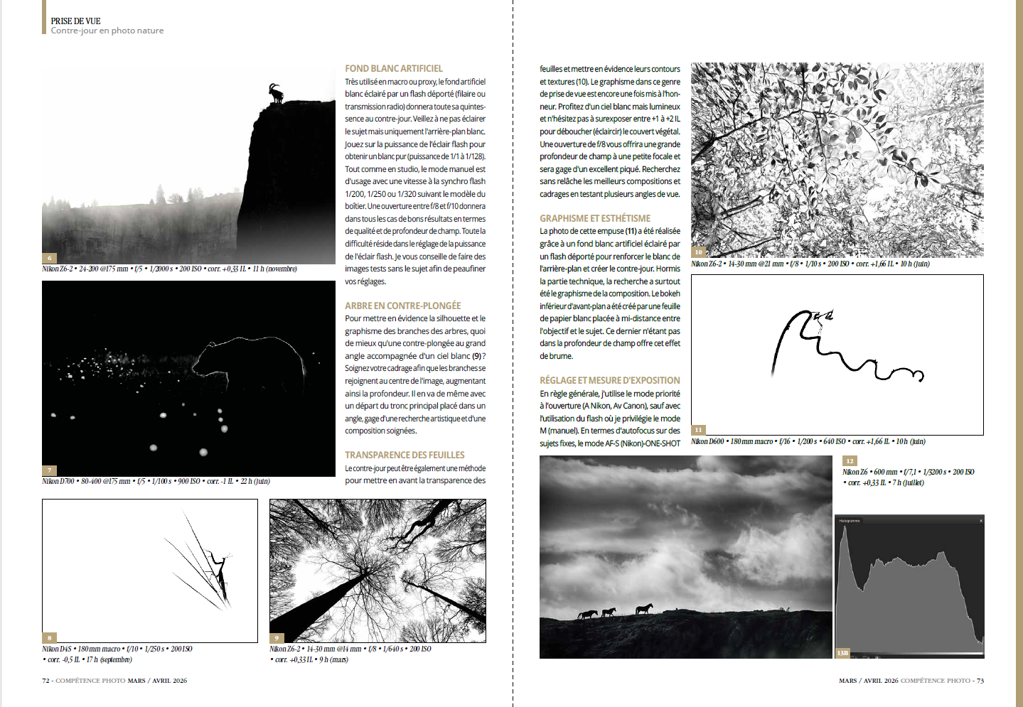 Compétence Photo Numéro 111 : La profondeur de champ • Le contre-jour • Les meilleurs outils IA de Luminar • Choisir son logiciel de catalogage.