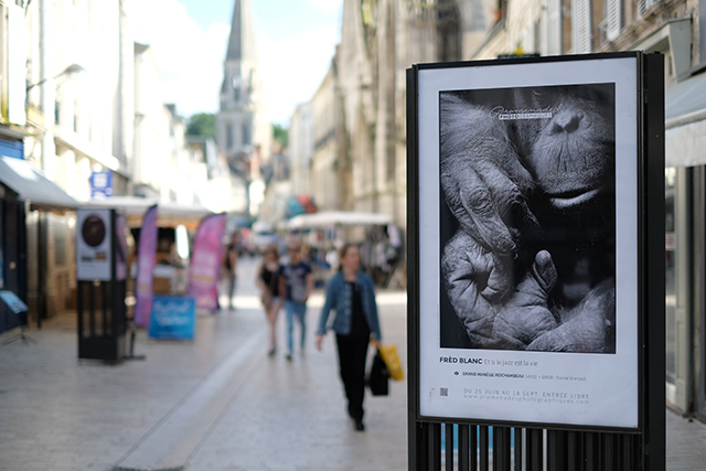 Les rues de Vendôme © Gérald Vidamment (Fujifilm X-Pro 2)